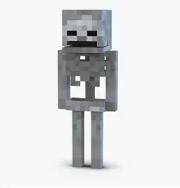 Skeleton